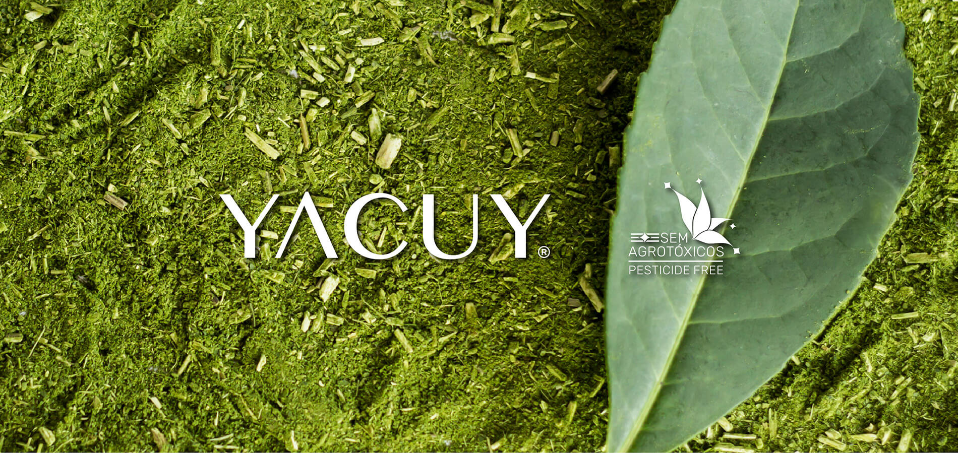 Yacuy - Sin agroquímicos